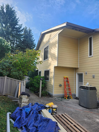 Windows & Siding
